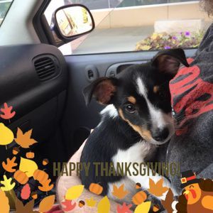 Meet your Posher, Susan